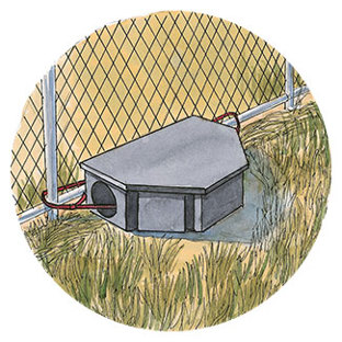 piège à rats ou station d'appât