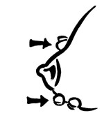 hand is pushed towards chest while holding breast
