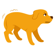 chien montrant de la peur