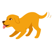 chien montrant qu'il veut jouer